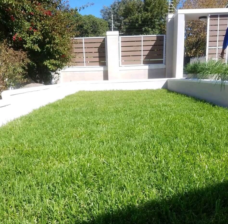 Lawn Installation Example